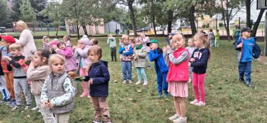 większy obrazek nr 45