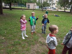 większy obrazek nr 6