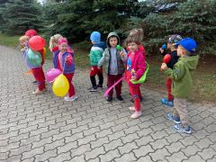 większy obrazek nr 58