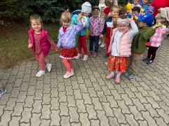 większy obrazek nr 59