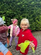 większy obrazek nr 66