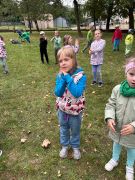 większy obrazek nr 81