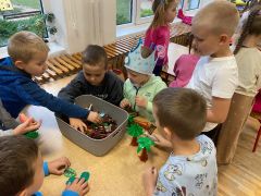 większy obrazek nr 57