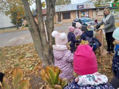 większy obrazek nr 20