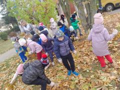 większy obrazek nr 21