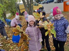 większy obrazek nr 22