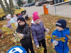 większy obrazek nr 23