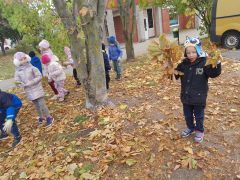 większy obrazek nr 24