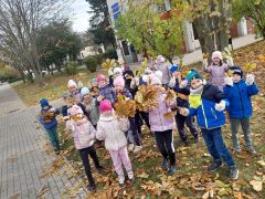 większy obrazek nr 25