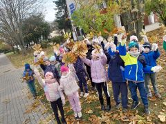 większy obrazek nr 26