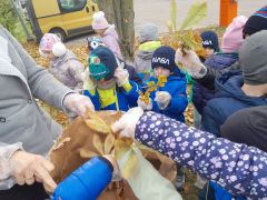 większy obrazek nr 27