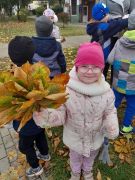 większy obrazek nr 29