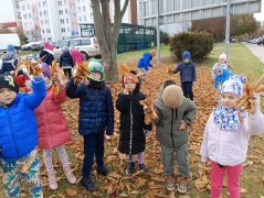 większy obrazek nr 31