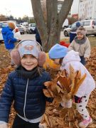 większy obrazek nr 33