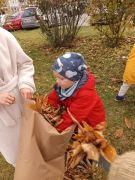 większy obrazek nr 34