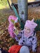 większy obrazek nr 1