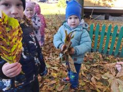 większy obrazek nr 4