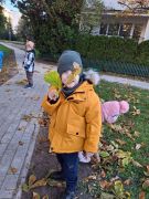 większy obrazek nr 6