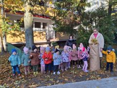 większy obrazek nr 7