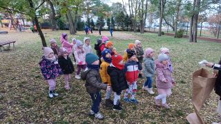 większy obrazek nr 9