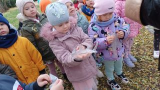 większy obrazek nr 10