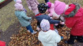 większy obrazek nr 11