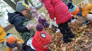 większy obrazek nr 12