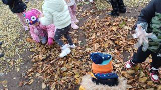 większy obrazek nr 13