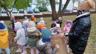 większy obrazek nr 15