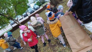 większy obrazek nr 16