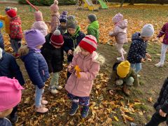 większy obrazek nr 36