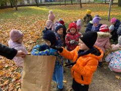 większy obrazek nr 37