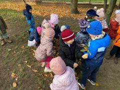 większy obrazek nr 38