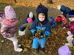 większy obrazek nr 39