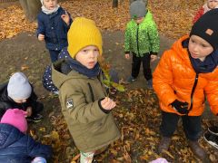 większy obrazek nr 40