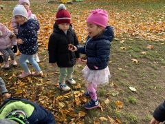 większy obrazek nr 41