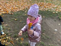 większy obrazek nr 42