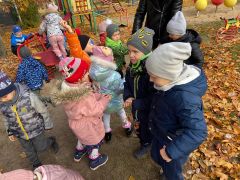 większy obrazek nr 44