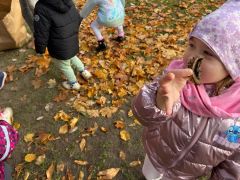 większy obrazek nr 45