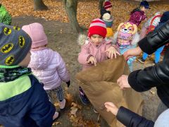 większy obrazek nr 46