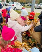 większy obrazek nr 52