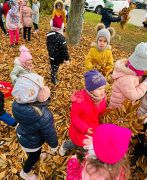 większy obrazek nr 53