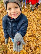 większy obrazek nr 56