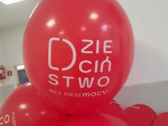 większy obrazek nr 13