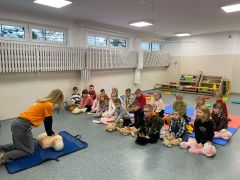 większy obrazek nr 9