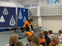 większy obrazek nr 11