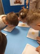 większy obrazek nr 52