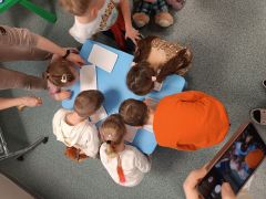 większy obrazek nr 53