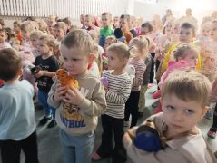 większy obrazek nr 64