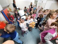 większy obrazek nr 29